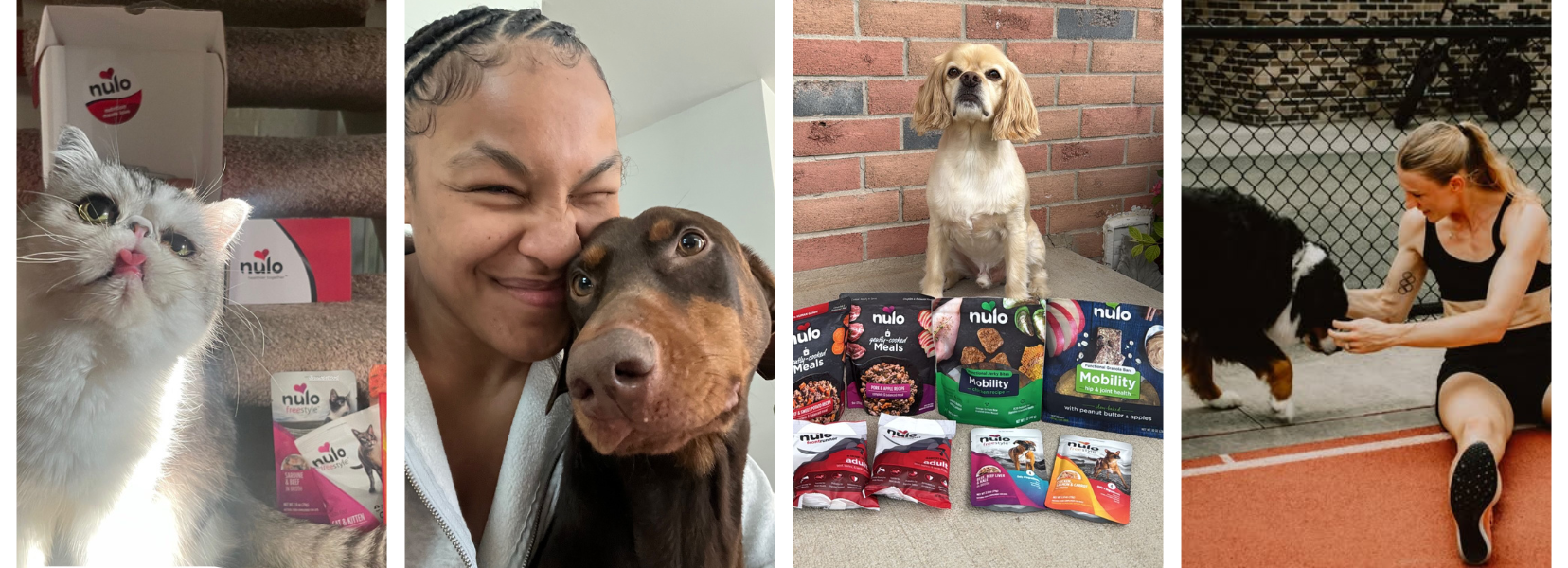 Best Womens Sports Ads Blog banner 2025 (1656 x 600 px) (7)